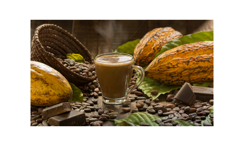 cacao-hot-chocolate