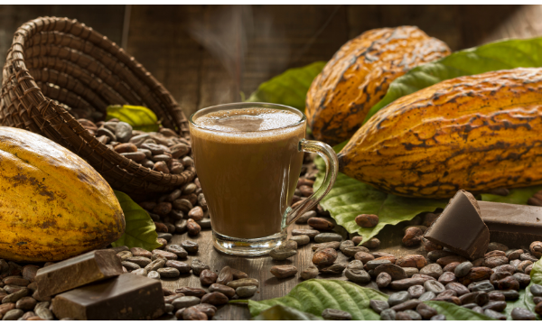 Cacao 'Hot Chocolate'